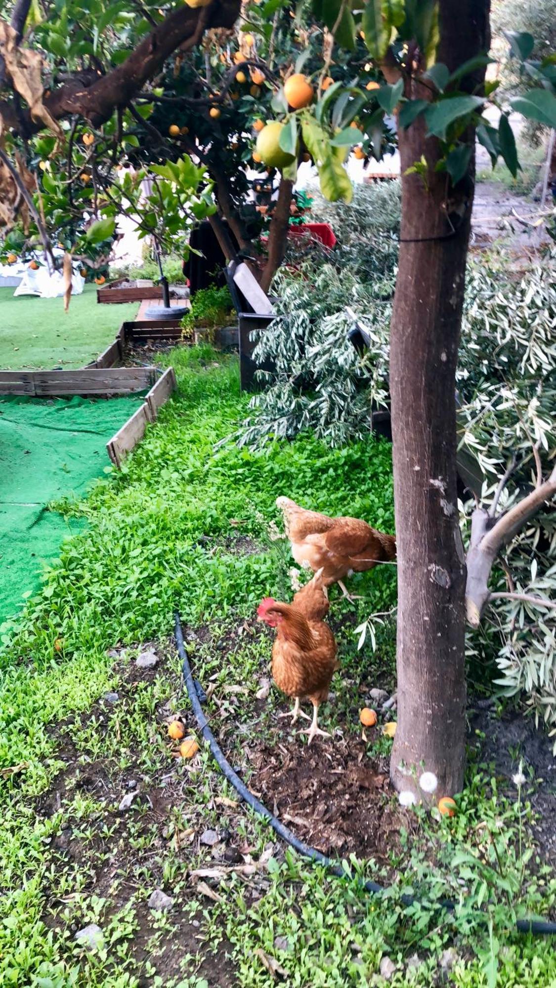 Finca Mariola - Alpendre ซานบาร์โตโลเม ภายนอก รูปภาพ